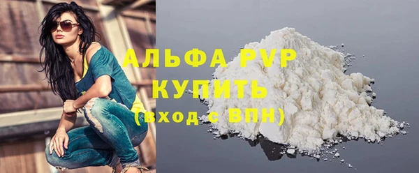 стаф Пересвет