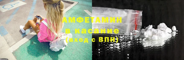 стаф Пересвет