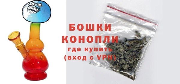 стаф Пересвет