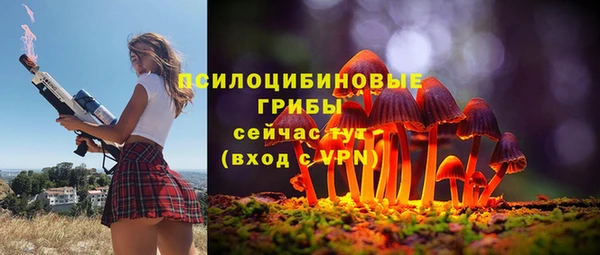 молекула духа Пестово